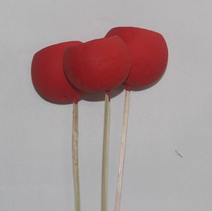 Tige de fleur séchée exotique teinte à la main, exclusive pour la décoration de bouquets et les créations artisanales - Product Image 1