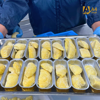 Trozos de Durian Tailandés Congelados, Calidad Premium, Listos para Exportar, Durian Tailandés IQF, Pulpa Dulce Dorada, 100g, 2 Años de Vida Útil, Durian al por Mayor