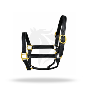 Premium Leather Horse Halter Padded Adjustable Brass <b>Hardware</b> Headcollar - Product Image 1