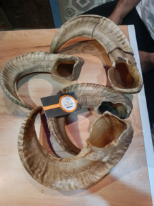 Shofar de bélier naturel le plus vendu 2024 Sho Far Horn meilleure qualité à la main Shofar Horn & Kudu - Product Image 3