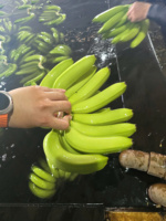 Verse Cavendish Banaan Vietnam Export Kwaliteit Premium Zoete Smaak Concurrerende Prijs Bulkaanbod