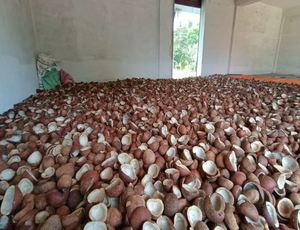 Copra de noix de coco sèche de qualité supérieure pour l'exportation et les marchés nationaux, copra de noix de coco pour la production de bonbons à la noix de coco, prix promotionnel - Product Image 2