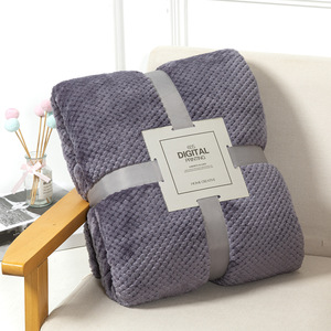Wholesale Custom Logo Soft Flannel Fleece Blanket Cozy Polyester Throw Blanket for <b>Sofa</b> Bed Winter Home Hotel Gift Use - Product Image 5
