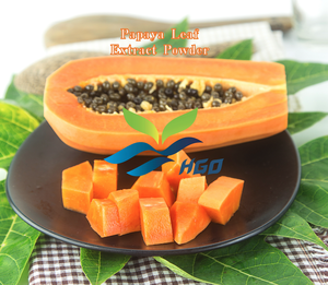 Suministro Directo de Fábrica HGO de Extracto Puro y Natural de Hoja de Papaya en Polvo (Grado Alimenticio) ER-10:1 (Polifenoles 3% y Glicósidos 40%) - Product Image 6
