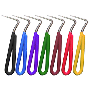 Brosse à sabots la plus vendue en plastique avec poignée ergonomique, outil de fermeur personnalisable avec logo, brosse à sabots vétérinaire - Product Image 1