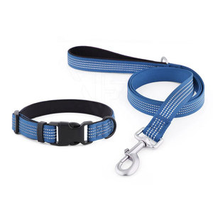 Ensemble collier et laisse pour chien avec sangle de cou réglable en néoprène solide, boucle sécurisée, anneau en D, coutures soignées pour chiens - Product Image 1
