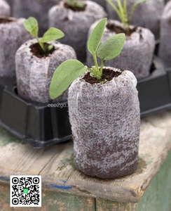 บล็อกเพาะกล้า Eco2go เวียดนาม, ใยมะพร้าวขายส่ง, เม็ดใยมะพร้าว, เม็ดพีทมะพร้าวสำหรับปลูก - Product Image 5