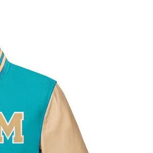 Blouson universitaire élégant, blouson bomber premium pour équipe, mélange de laine, logo personnalisé, streetwear, vente en gros, fabricant OEM, vente en gros en vrac - Product Image 4