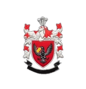 Écussons brodés personnalisés de qualité supérieure avec armoiries familiales à vendre – Écusson en tissu brodé à la main sur mesure - Product Image 5