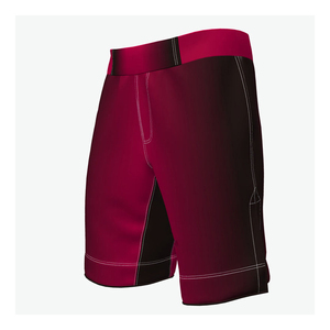 Shorts d'entraînement de boxe, shorts de compétition, arts martiaux mixtes, sublimation, shorts de combat MMA de haute qualité, logo personnalisé, shorts MMA pour hommes - Product Image 3