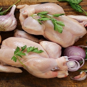 Pollo Congelado a Granel para Uso Comercial con Almacenamiento Práctico, Calidad Consistente y Uso en Cocinas Domésticas - Product Image 6