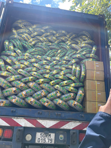 Neumático de Motocicleta Sin Cámara de Alta Calidad K206 80/90-14 90/90-14, Neumático para Scooter Urbano, Compuesto de Goma Duradero - Product Image 6