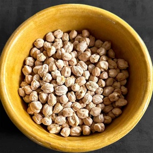 ซื้อถั่วชิกพีคาบูลีออร์แกนิก คุณภาพสูง แห้ง ธรรมชาติ ปลอดสาร GMO บรรจุ 25 กก. ขายส่ง จัดส่งรวดเร็ว - Product Image 4