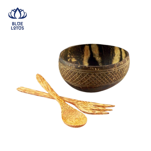 Bol en Coque de Noix de Coco Écologique de Haute Qualité – Vente Chaude, Durable, Léger et Premium pour la Cuisine - Product Image 1