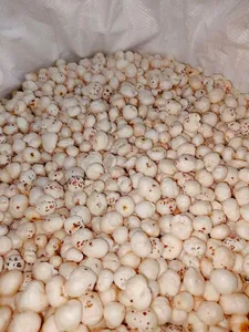 Nueces de Loto (Phool Makhana) Seleccionadas a Mano, Derivadas de la Planta Lotus Euryale Ferox, Nuez de Gorgón Blanca, Lista para Usar, Vida Útil de 24 Meses - Product Image 2