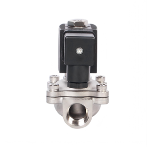 วาล์วโซลินอยด์ทองเหลืองสแตนเลสขนาด 1 นิ้ว สำหรับน้ำและอากาศ 12v DC วาล์วโซลินอยด์สำหรับเครื่องฉีดพลาสติก - Product Image 3