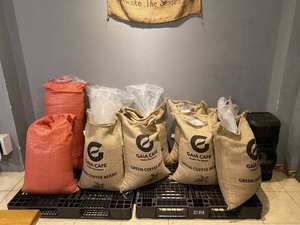 Gaia Cafe Arabica Green Coffee <b>Beans</b> Natural Processed Specialty Vietnamese Catimor Dry Storage Grade 40kg Jute <b>Bag</b> 18-Month - Product Image 2