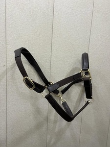 Cabestro de caballo personalizable DD, cómodo cuero negro y material mixto de nailon con accesorios SS/latón, conveniente para propietarios de caballos - Product Image 4