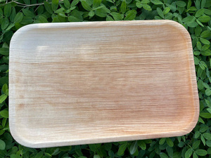 Assiettes jetables en feuilles de palmier Areca de Pangreen Global Corporation, 100% compostables, biodégradables, respectueuses de l'environnement - Product Image 6