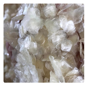 Meilleures ventes d'écailles de poisson du Vietnam, approvisionnement en vrac, matière première de haute qualité - Product Image 6