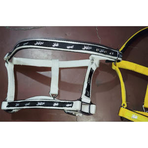 À VENDRE PP HORSE 3 PLIS HALTER AVEC ROUILLE RACCORD COULEUR VERT EN DOLLAR 2.5 CARTE DE CRÉDIT TAILLE ACCEPTÉE PLEINE COB - Product Image 4