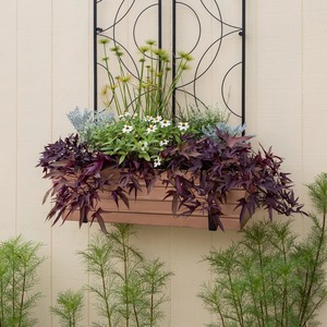 Jardinière suspendue en métal au design circulaire pour la présentation murale de fleurs et de plantes vertes, style rustique de jardin, finition thermolaquée - Product Image 5