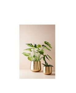 Jardinière en métal de luxe finition dorée, pot de fleurs haut de gamme, élégant présentoir botanique, décoration pour la maison et le patio - Product Image 1