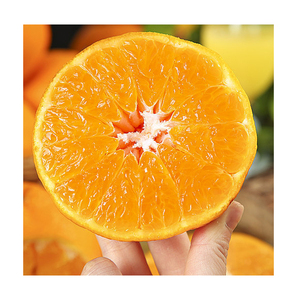 Naranja ombligo fresca/naranja mandarina fresca/naranjas - Product Image 3