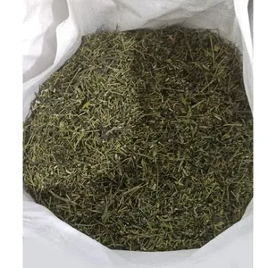 Feuilles séchées d'Andrographis Paniculata (Chiretta) de qualité supérieure, matière première végétale naturelle pour applications ayurvédiques et bien-être - Product Image 2