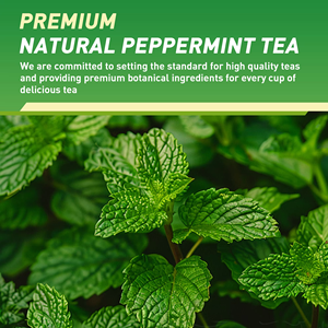 Sachets de thé à la menthe poivrée sans caféine, prêts à l'emploi (OEM/ODM), favorisent la digestion et la fraîcheur buccale, 20 sachets - Product Image 5