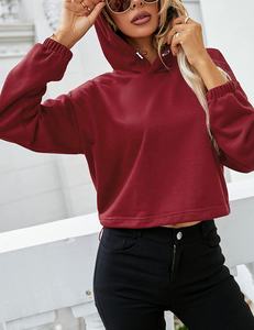 Offre Spéciale mode crop top à manches longues femmes sweat à capuche en velours tissu rose tenues deux pièces plussize courtes ensemble Prix raisonnable - Product Image 3