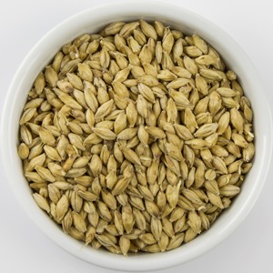 Alimento Natural Orgánico de Primera Calidad para Animales, Cebada en Grano, Empaque de 50 Kg, Semillas de Cebada, Cereales - Product Image 5