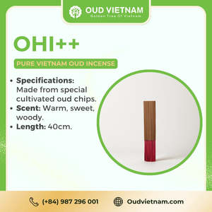 ไม้กฤษณาเวียดนามธรรมชาติพรีเมียมสำหรับผู้นำเข้าขายส่ง B13-AR-085 - Product Image 6