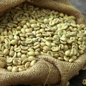 Sustainable Vietnam Robusta <b>Coffee</b> <b>Beans</b> Wholesale – Bulk Natural Green Unroasted Seeds OEM ODM Export Supply, 12% Moisture Stan - Product Image 4