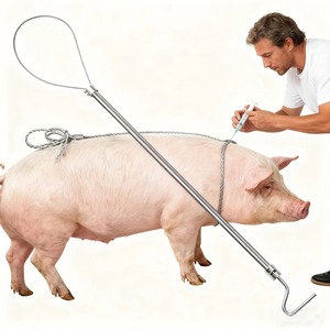 Pértiga de Captura de Animales de Acero Inoxidable para Cerdos y Perros, Herramienta de Sujeción para Ganado, Equipo Agrícola - Product Image 5