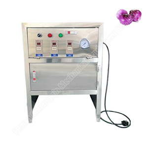 Small Red Onion Peeling Machine Onion Peeler Brush Type 400kg/h Chain Garlic Peeling Machine - Product Image 5
