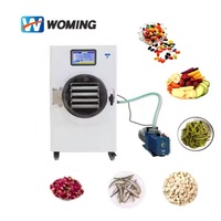 Woming Fabriek Prijs 5 Trays 10Kg Huishoudelijke Lyofilisator Machine Fruit Groentesap Voedsel Vriesdroger
