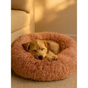 Cama para Mascotas Súper Suave y Cálida, Extra Acolchada, Tipo Nube, para Perros y Gatos de Pelo Largo, Relleno Abundante Como en una Nube, Camas Premium para Mascotas - Product Image 3