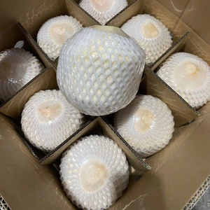 มะพร้าวสดคุณภาพส่งออก รูปทรงเพชร จากเวียดนาม มะพร้าวอ่อนสดฉ่ำ - Product Image 1