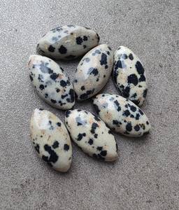 Jaspe Dálmata Natural, Forma Marquesa, Cabujón Calibrado, Gema Suelta para Joyería - Product Image 2