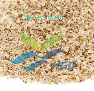 Suministro Directo de Fábrica HGO de Extracto Puro y Natural de Salvado de Arroz, Grado Alimenticio, Especificaciones 5:1, 10:1, 20:1 - Product Image 2