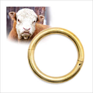 คลิปหนีบจมูกวัวทองแดงแท้ สภาพใหม่ สำหรับปศุสัตว์ วัว กระทิง - Product Image 1