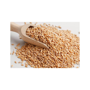 Nueva Llegada, Venta al Por Mayor, Suministro a Granel de Trigo Duro de Primera Calidad, Grado Alimenticio, Listo para Enviar, Exportación Más Vendida - Product Image 1