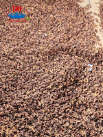 Anis étoilé cru séché du Vietnam, sans soufre, qualité supérieure, pour la cuisine, durée de conservation de 12 mois, fourni directement par les agriculteurs