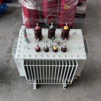 Transformateur triphasé immergé dans l'huile 630 KVA 50Hz/60Hz pour projets internationaux avec enroulement en cuivre