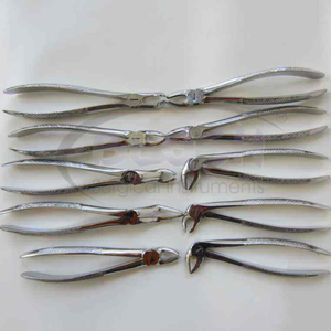 Reusable Stainless Steel Dental Surgical Instruments Manual Tooth Extracting Forceps Instrument CE Certified By <b>Blush</b> Surgical - Product Image 6