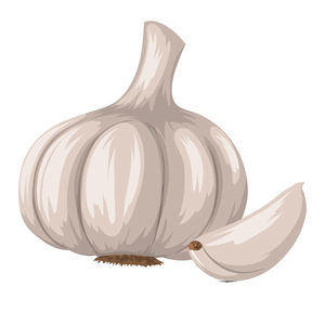 Ail frais naturel en vrac, fournisseur d'ail de qualité export pour le commerce international alimentaire et horticole - Product Image 3