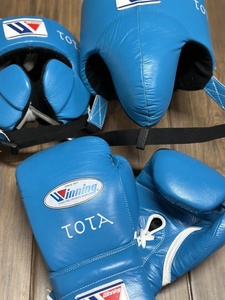 Guantes de Boxeo Profesionales de Cuero con Cordones, Dedos Completos, 16 oz, Correa de Muñeca Ajustable con Velcro, Artes Marciales - Product Image 6