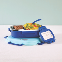 Boîte à lunch isotherme en acier inoxydable de qualité supérieure, récipient de stockage alimentaire étanche, boîte à lunch portable, 2 compartiments, 500 ml, micro-ondes