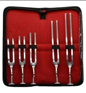 Diapason médical SWISHER INTERNATIONAL 128 Hz Gardiner Brown Rinne pour test auditif, en acier inoxydable brossé, manuel, chirurgical ORL, CE - Product Image 5